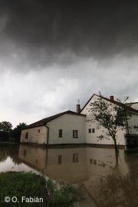 Petřvald