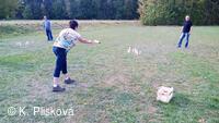 Obecní knihovna v Petřvaldě - knihovna, kde jste doma!
