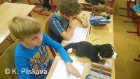 Obecní knihovna v Petřvaldě - knihovna, kde jste doma!