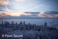 Foto Pavel Špurek