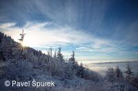 Foto Pavel Špurek