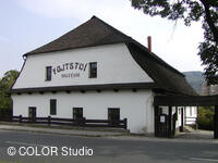 Muzeum