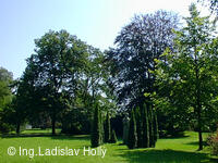 Nový Jičín, Smetanovy sady