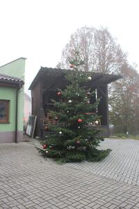 Časy