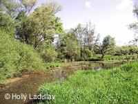 Naučná stezka KOTVICE