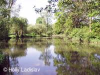 Naučná stezka KOTVICE