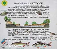 Naučná stezka KOTVICE