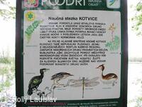 Naučná stezka KOTVICE
