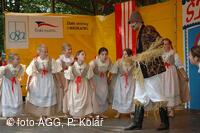 Mezinárodní dětský folklorní festival Štěpy