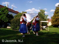 Folklorní soubor Javorník
