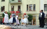 Mezinárodní folklorní festival Folklor bez hranic