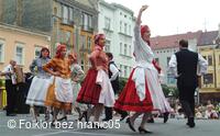 Mezinárodní folklorní festival Folklor bez hranic