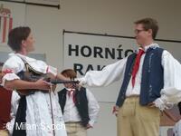 Jihočeské folklorní sdružení