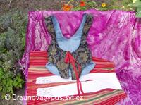 Mezinárodní folklorní festival Česká náves - Dýšina
