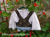 Mezinárodní folklorní festival Česká náves - Dýšina