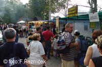 Folklorní festival Slezské dny