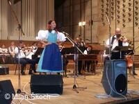 Jihočeské folklorní sdružení