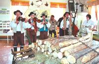 Folklorní soubor Šafrán