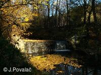 splav