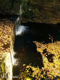 splav