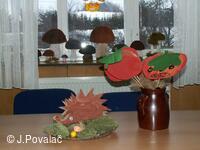 Výstava