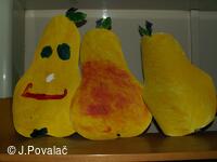 výstava
