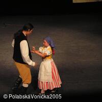 Folklorní festival Polabská Vonička
