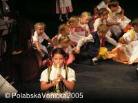 Folklorní festival Polabská Vonička