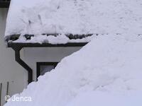zima