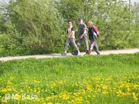 Petřvald