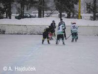 Petřvald