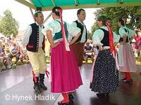 Libín - S, folklorní sdružení