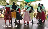 Libín - S, folklorní sdružení