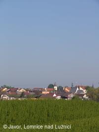 Javor, folklorní soubor