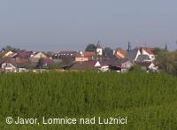 Javor, folklorní soubor