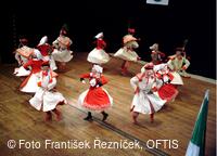 Mezinárodní folklorní festival Folklor bez hranic