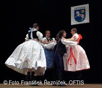Mezinárodní folklorní festival Folklor bez hranic