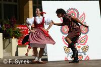 Mezinárodní folklorní festival Písní a tancem