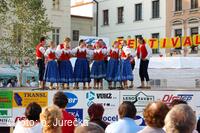 Mezinárodní folklorní festival Frýdek-Místek