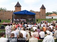 Folklorní festival Polabská Vonička