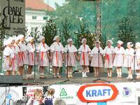 Mezinárodní folklorní festival Babí léto