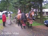 Mezinárodní folklorní festival Liptálské slavnosti