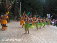 Mezinárodní folklorní festival Liptálské slavnosti