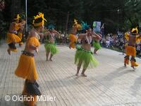 Mezinárodní folklorní festival Liptálské slavnosti