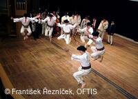 Mezinárodní folklorní festival Folklor bez hranic