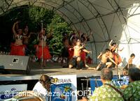 Mezinárodní folklorní festival Folklor bez hranic
