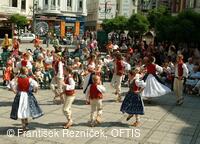 Mezinárodní folklorní festival Folklor bez hranic