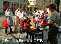 Mezinárodní folklorní festival Folklor bez hranic