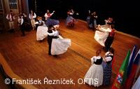 Mezinárodní folklorní festival Folklor bez hranic