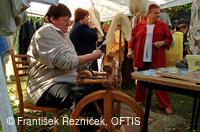 Folklorní festival Slezské dny